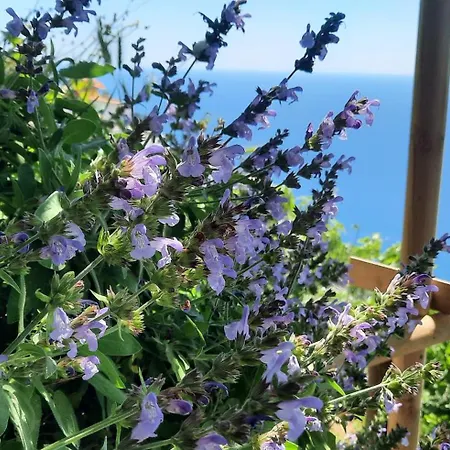 Appartamento Sunset - Homy 5 Terre Retreat *
